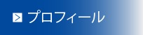 �v���t�B�[��