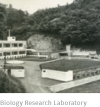 biology_research_labo