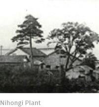 Nihongi Plant