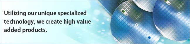 Utilizing our unique specialized technology, we create high value added products.