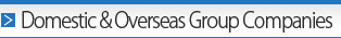 Domestic & Overseas Group Companies