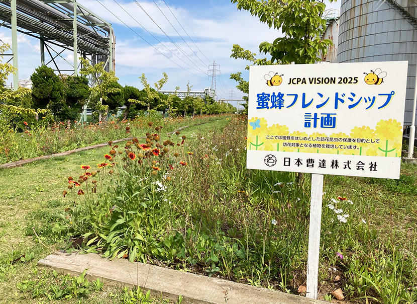 蜜蜂フレンドシップ計画