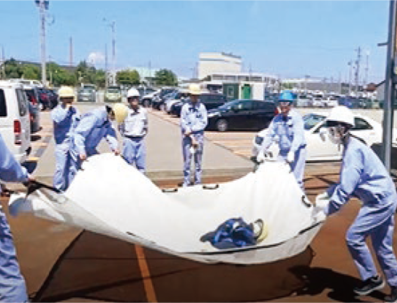 Simulation with a 30 kg dummy falling from a height