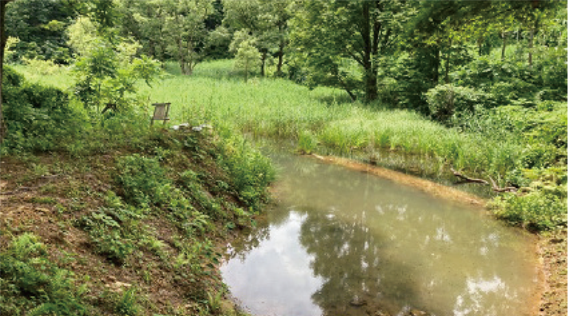 Water level at the Suga Lake (July 18, 2023)