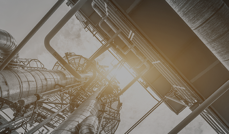 BUSINESS / PRODUCT Nippon Soda Co., Ltd.