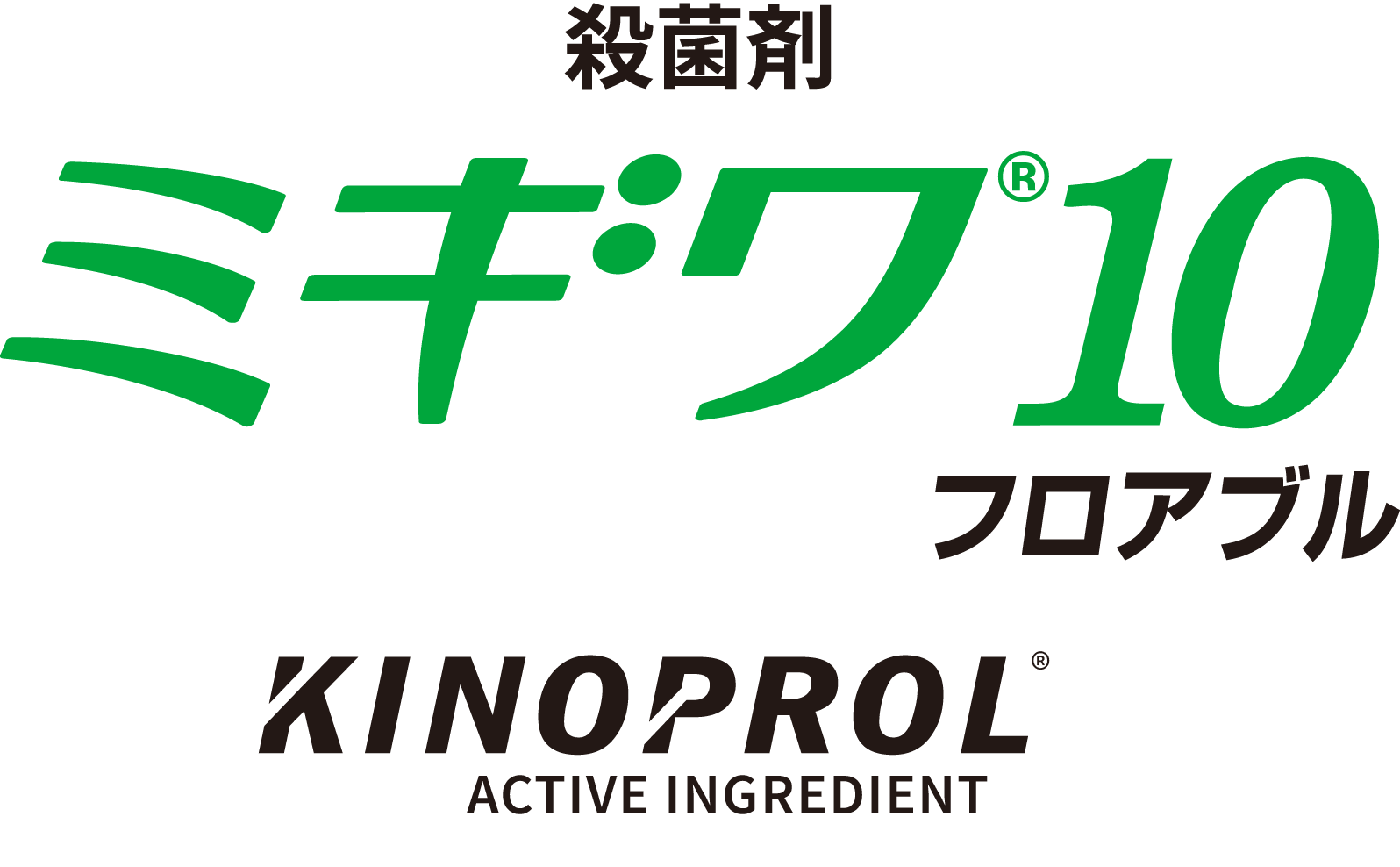 ミギワ10フロアブルの画像