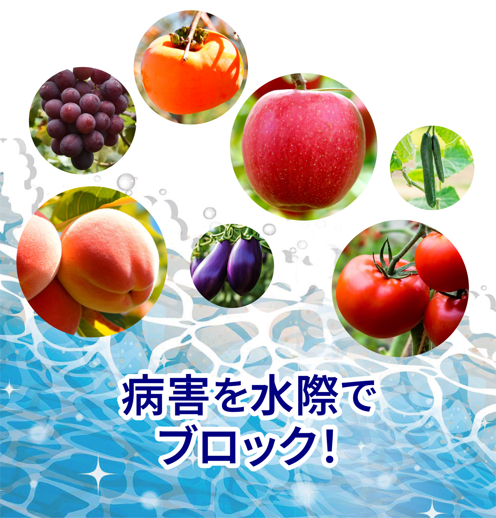 病害を水際で ブロック!の画像