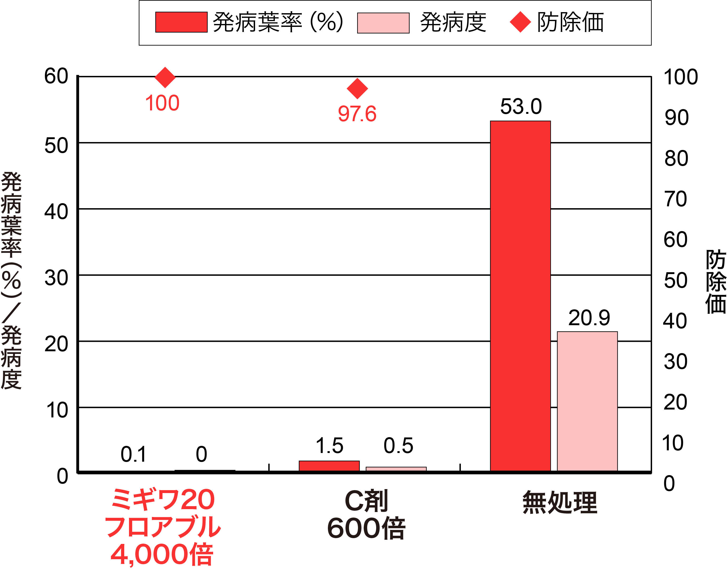 りんごの黒星病の画像②