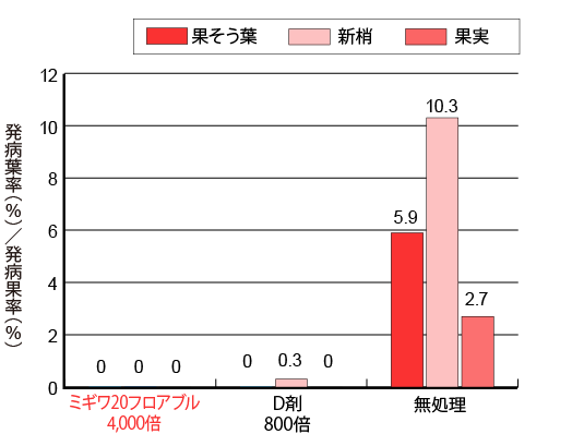 りんごの黒星病の画像④
