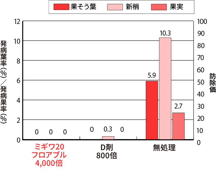 りんごの黒星病の画像④