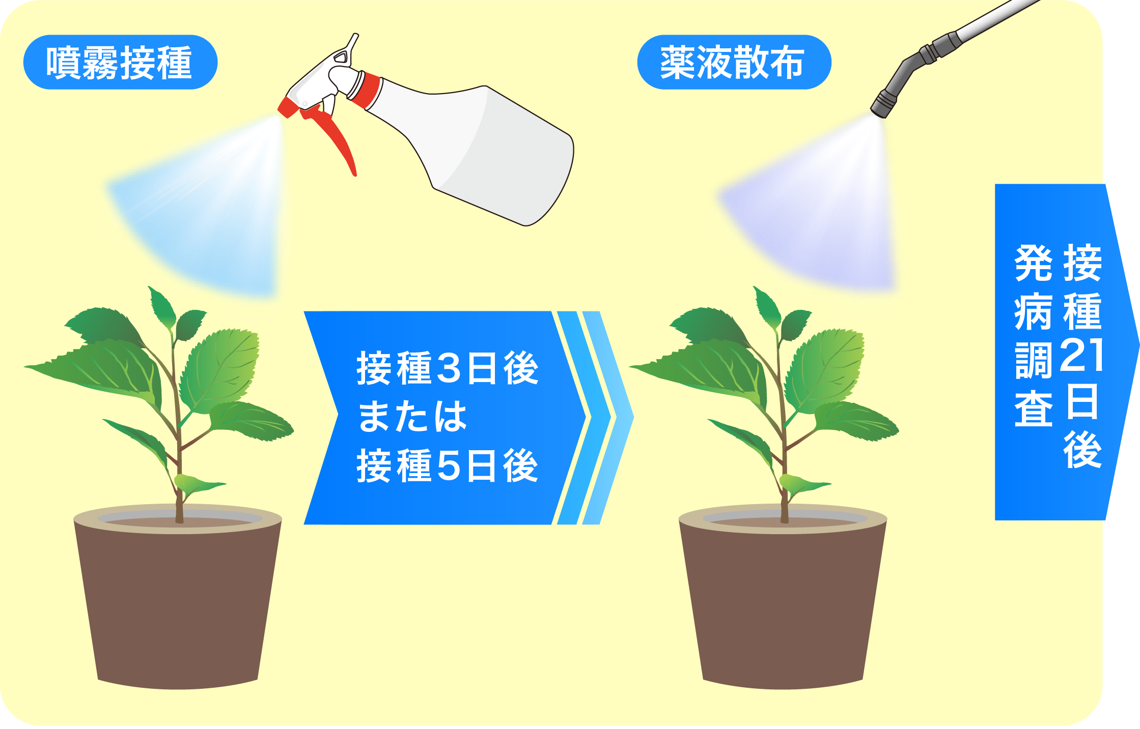 潜伏感染防除効果の画像①