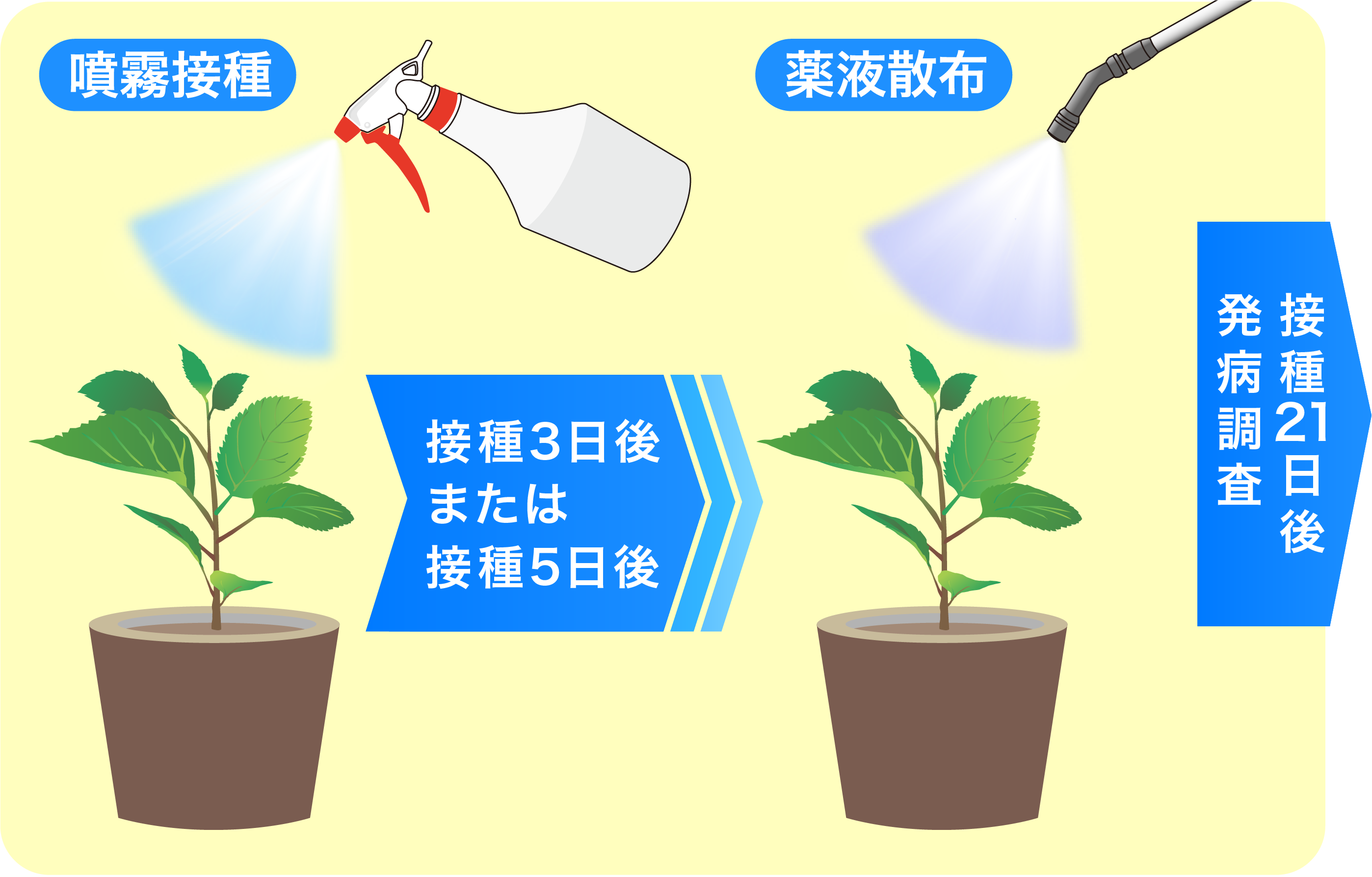 潜伏感染防除効果の画像①