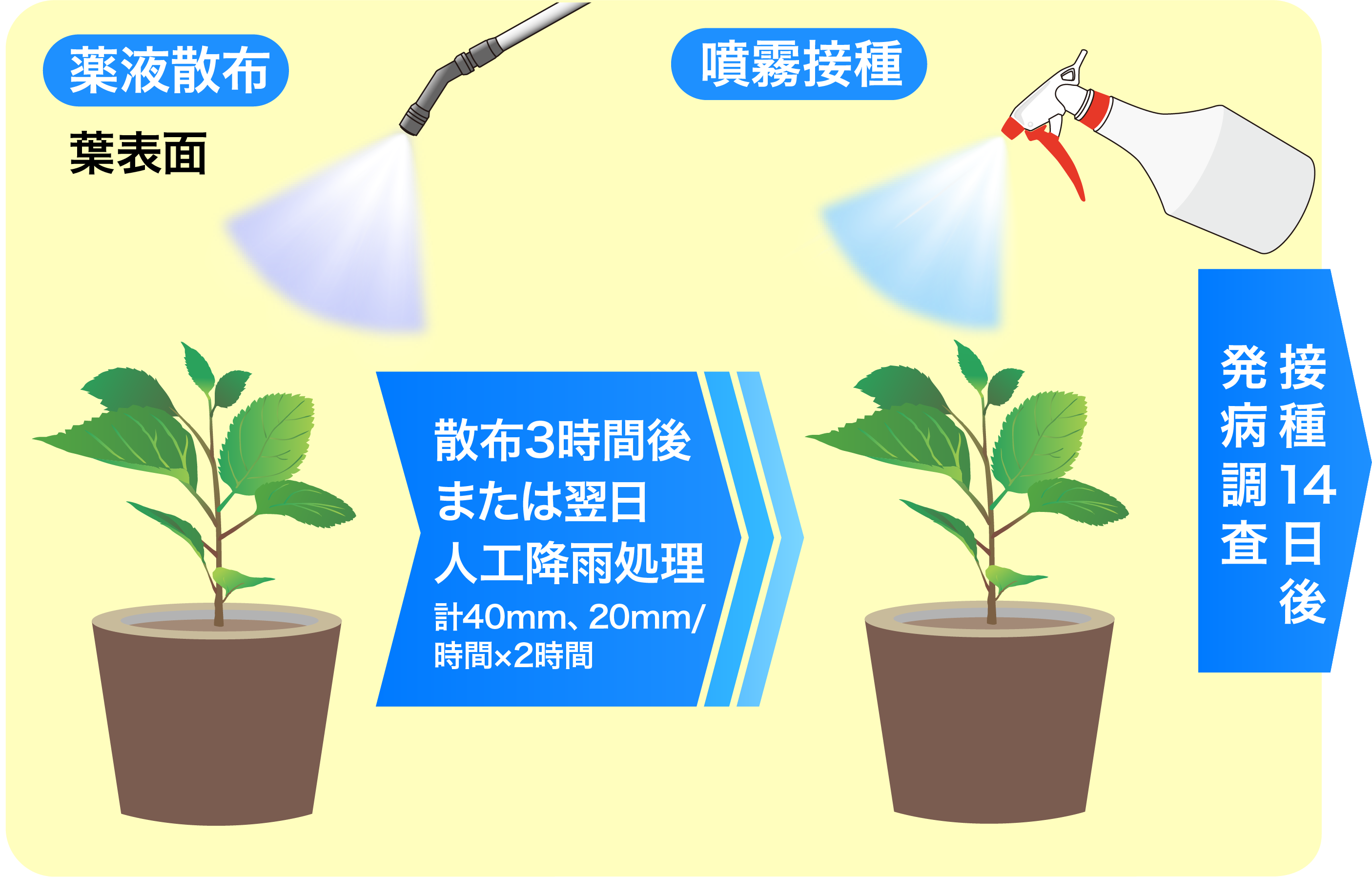 耐雨性の画像①