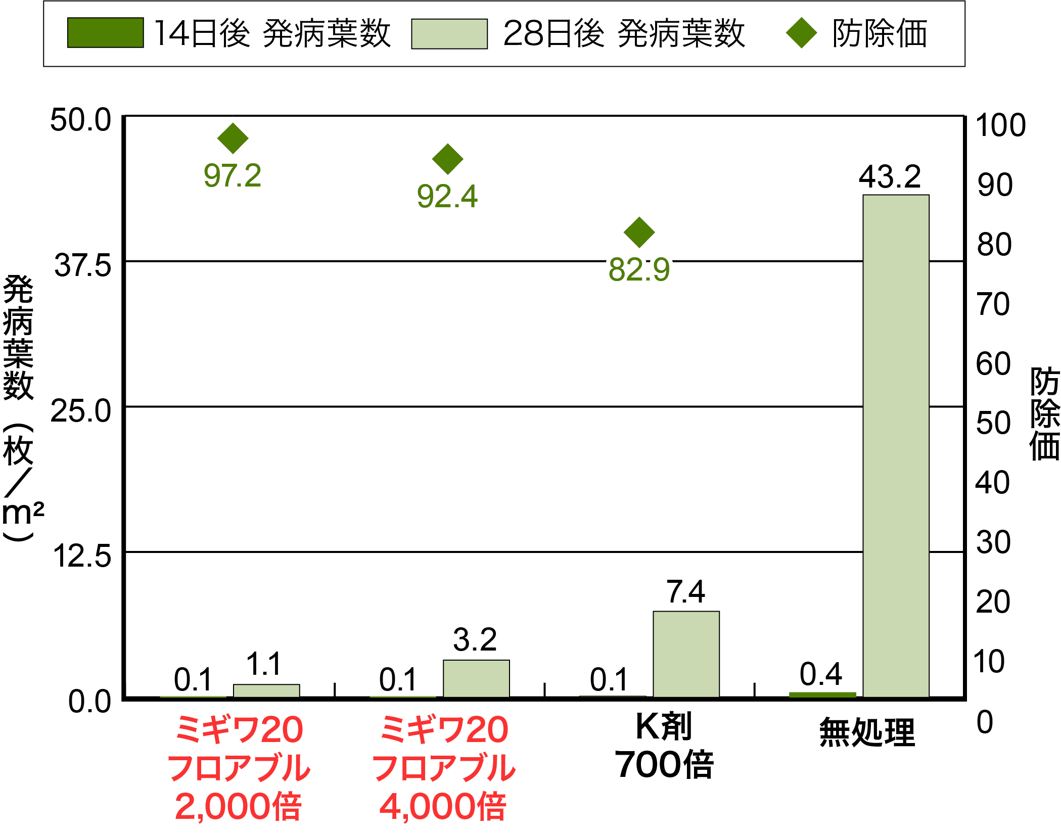 茶の炭疽病の画像②