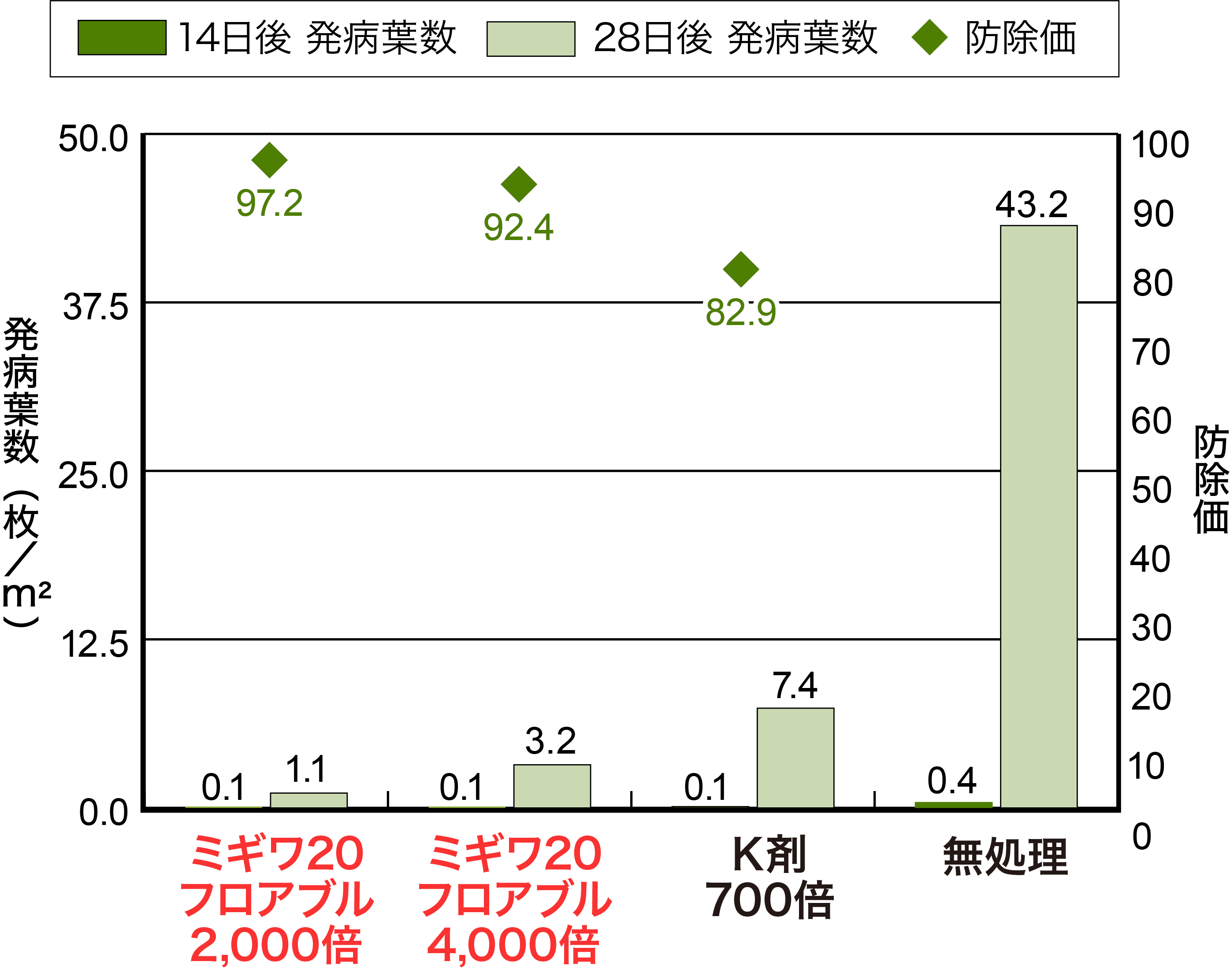 茶の炭疽病の画像②