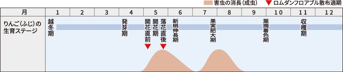 効果持続性に及ぼす降雨の影響