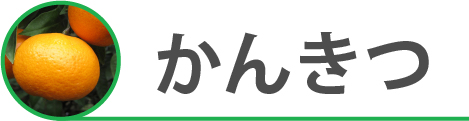 かんきつ