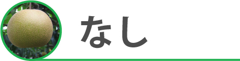 なし