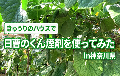 【くん煙剤】使ってみたin神奈川（きゅうり／モスピランジェット）