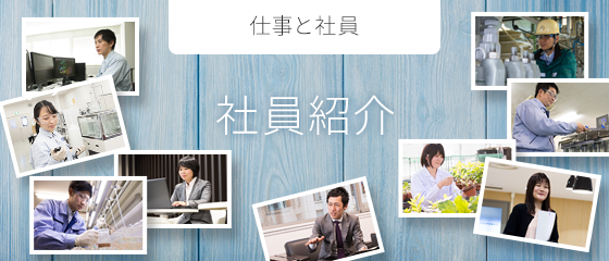 社員紹介｜日本曹達 新卒採用情報